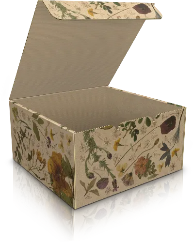 Коробка для мыла и ароматических масел конструкции шкатулка 2